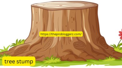 tree stump